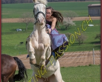 1AMAZONE- 0552